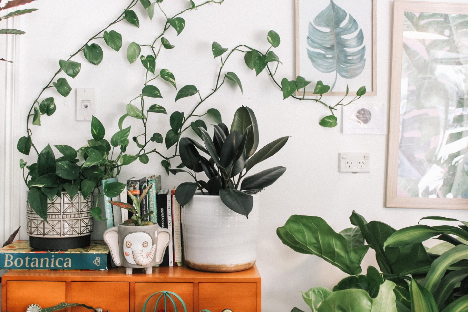 A living room with a mid-century modern and boho style, featuring plants, natural material accents for organic touch.