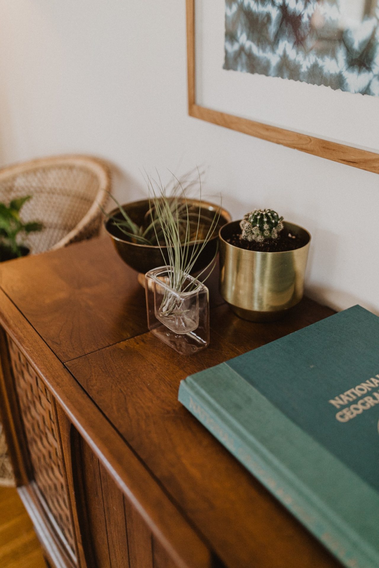 Mid-century sideboard with succulent house plants and neutral tone walls