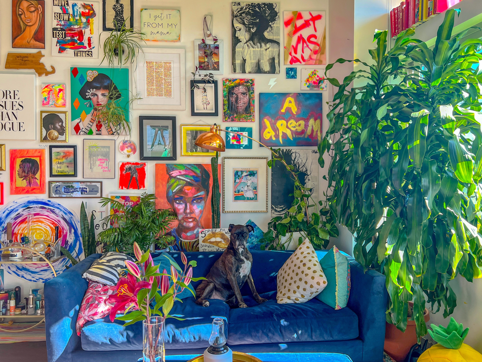 Eclectic Bohemian style room with vibrant coloring, dog, art, and plants