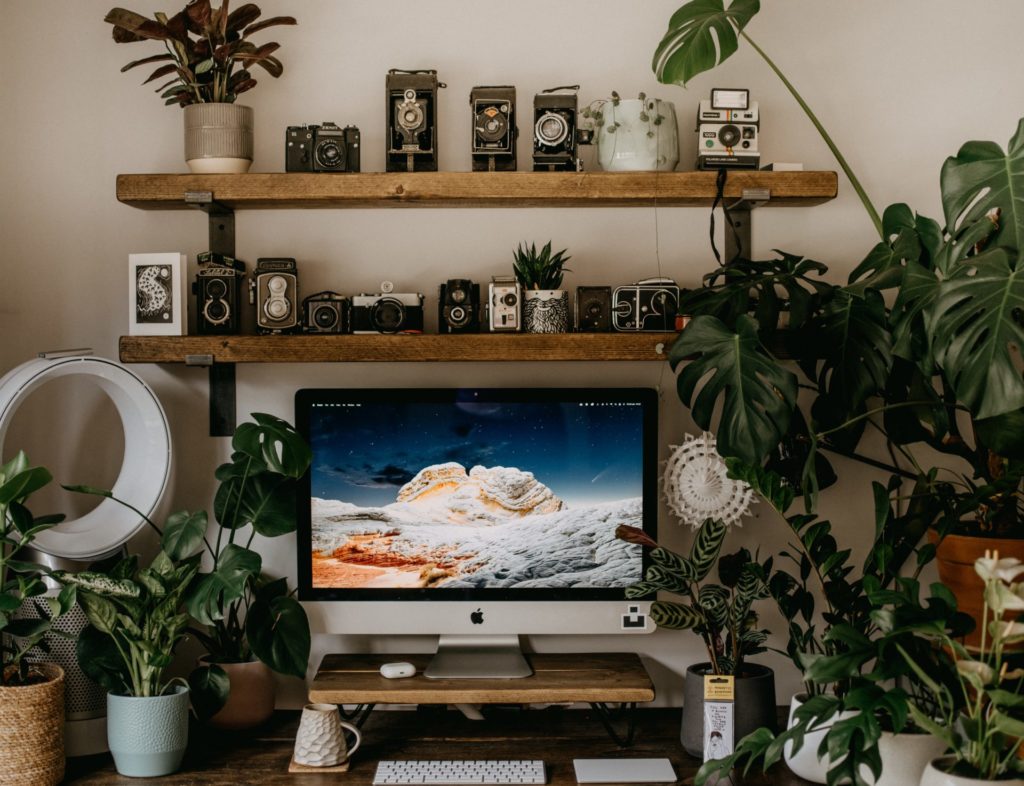 Vintage cameras on shelves in office