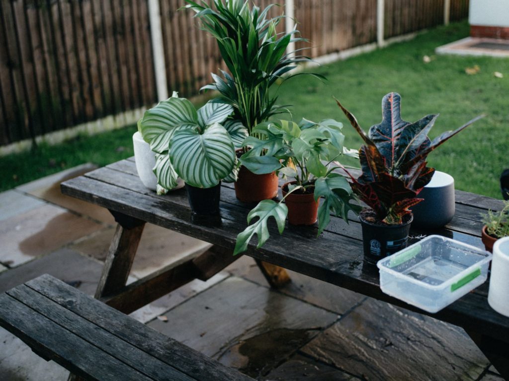 Outdoor table with multiple potted plants