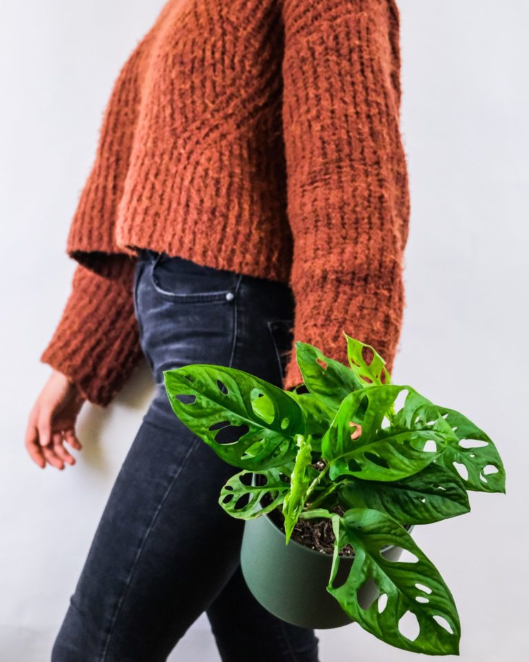 Girl carrying Monsterra house plant