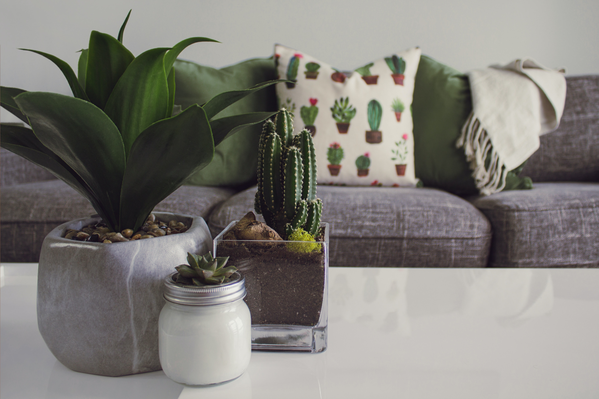 A cozy seating area with succulent house plants in a boho style living room