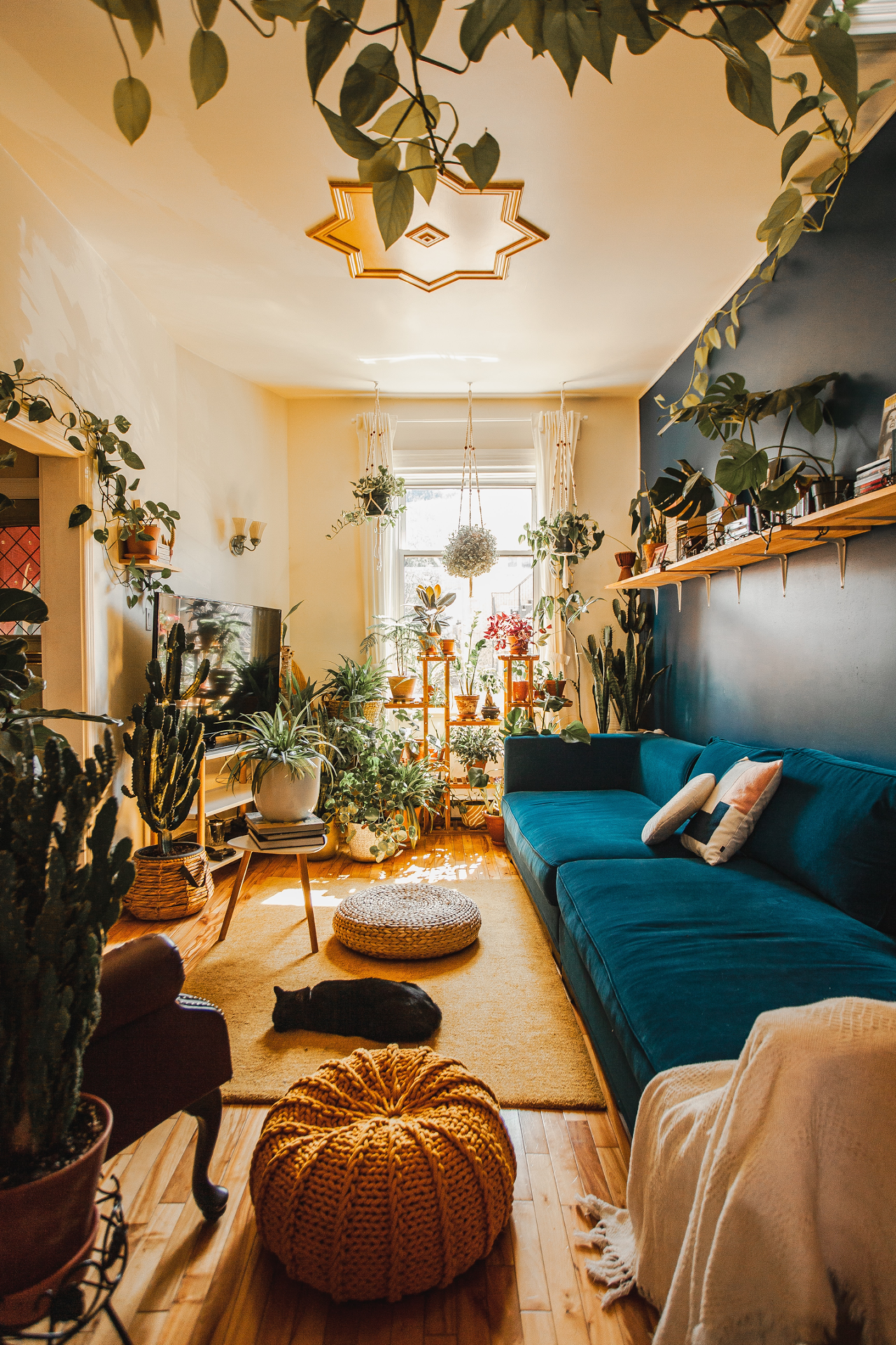 Bohemian living room with jewel tone sofa