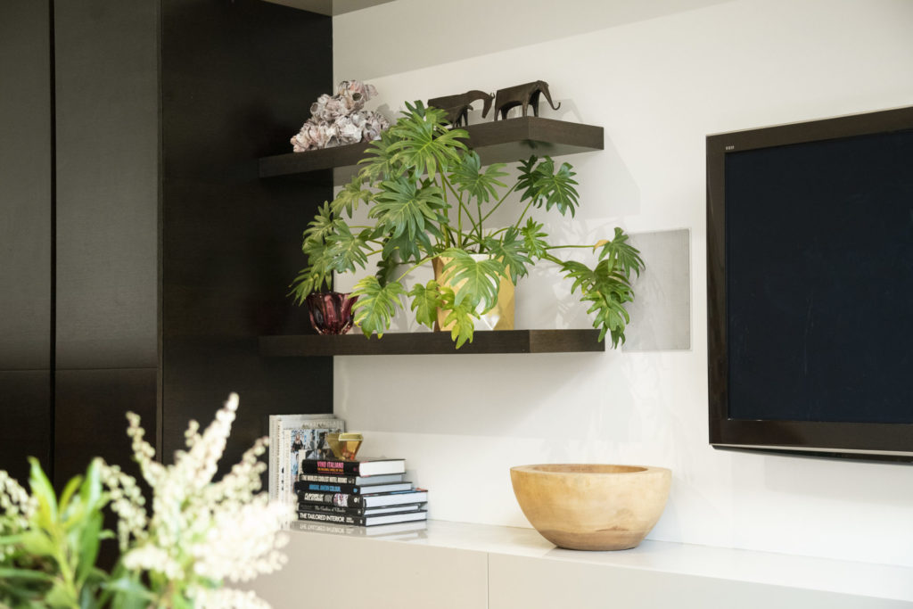 Indoor plants on a shelf