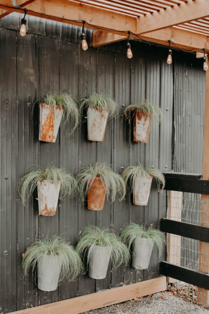 Unique plant wall with multiple pots