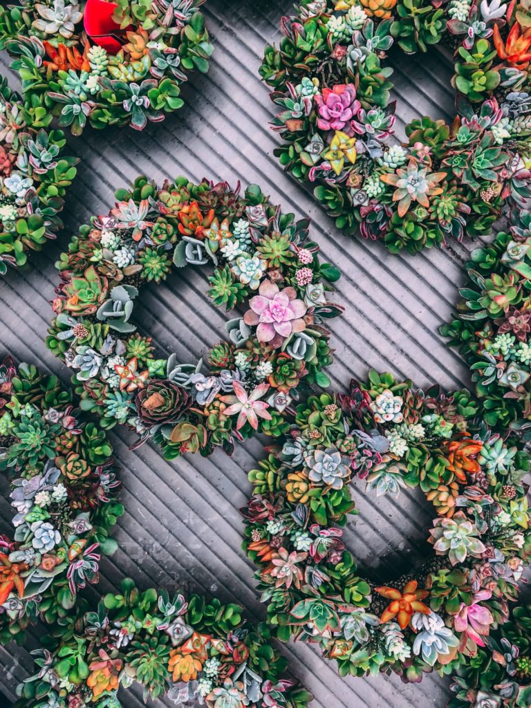 Succulent wreaths