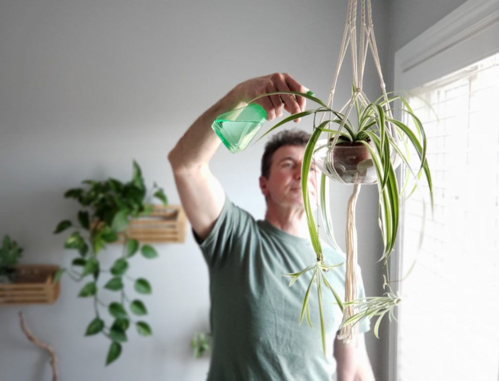 Man watering indoor plants