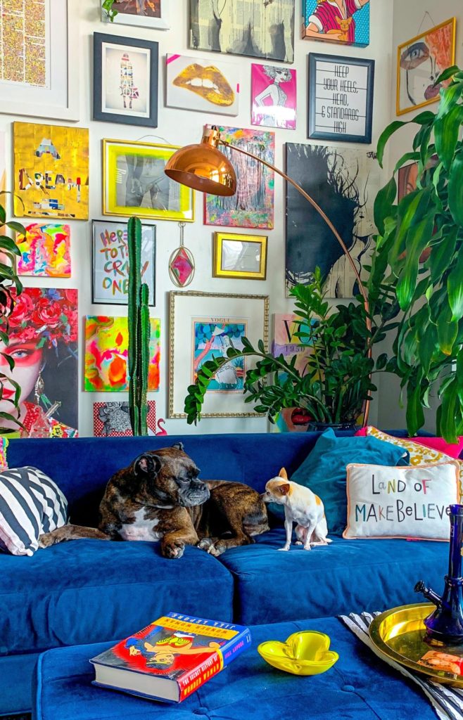 2 dogs in a Bohemian living room with bright blue sofa