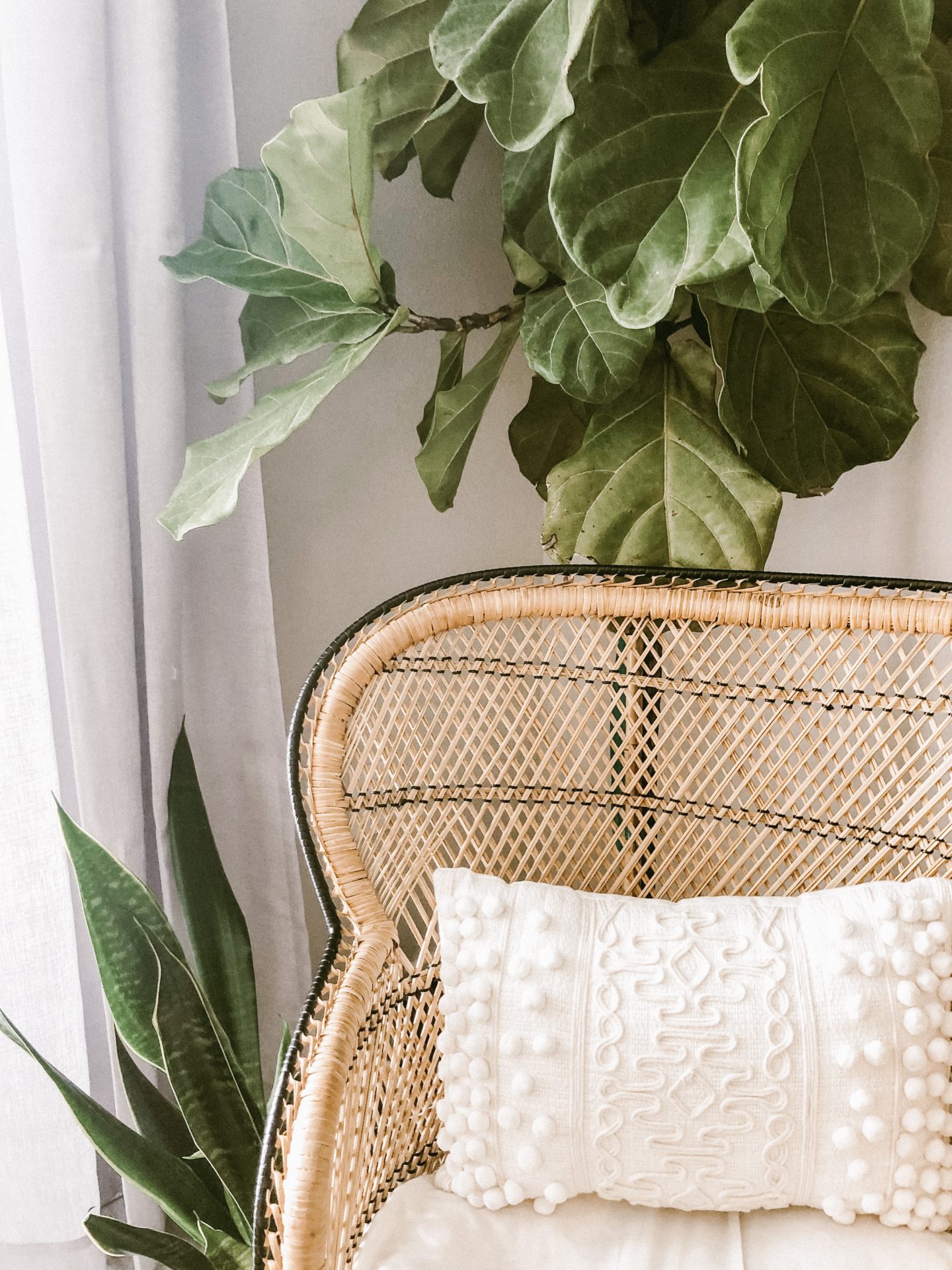 Boho rattan chair and house plants