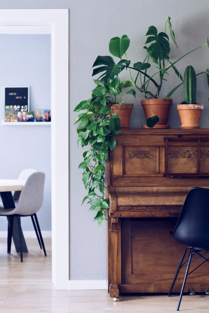 Natural wood piano with house plants