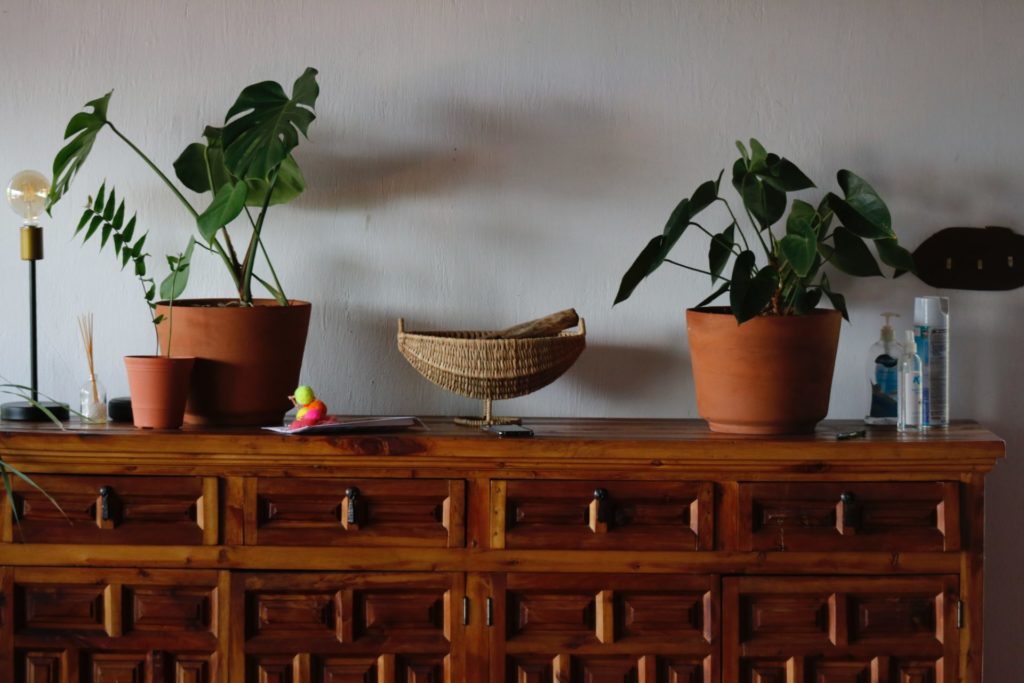 Plants on a wood dresser