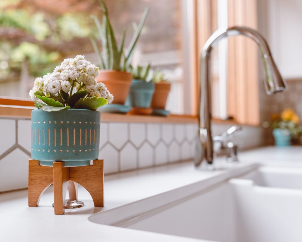 Boho minimalist kitchen backsplash with succulents